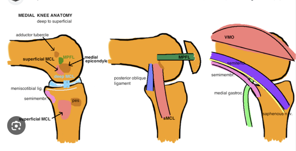 Balancing Total Knee Picture